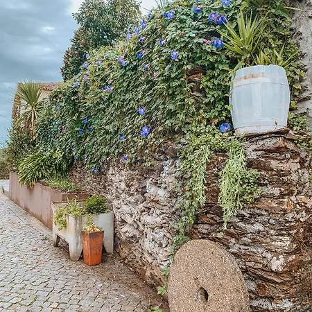 Douro Rural Holiday home Porto